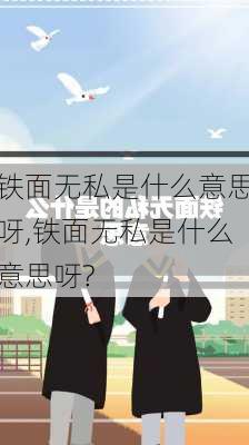 铁面无私是什么意思呀,铁面无私是什么意思呀?