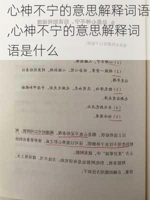 心神不宁的意思解释词语,心神不宁的意思解释词语是什么