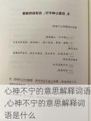 心神不宁的意思解释词语,心神不宁的意思解释词语是什么