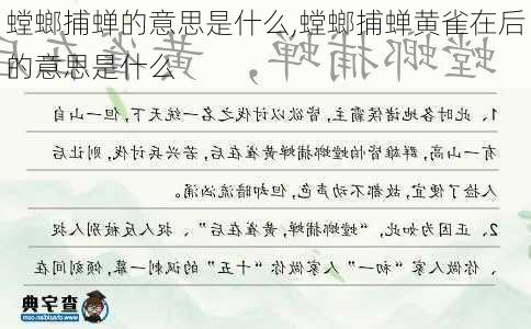 螳螂捕蝉的意思是什么,螳螂捕蝉黄雀在后的意思是什么