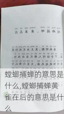 螳螂捕蝉的意思是什么,螳螂捕蝉黄雀在后的意思是什么