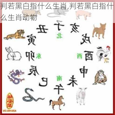 判若黑白指什么生肖,判若黑白指什么生肖动物