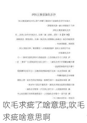 吹毛求疵了啥意思,吹毛求疵啥意思啊