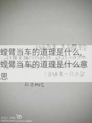 螳臂当车的道理是什么,螳臂当车的道理是什么意思