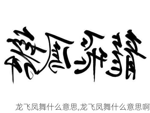 龙飞凤舞什么意思,龙飞凤舞什么意思啊