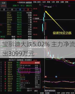 宝丽迪大跌5.02% 主力净流出3099万元