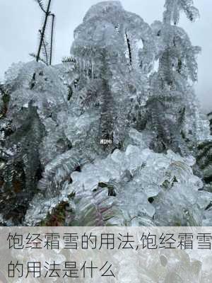 饱经霜雪的用法,饱经霜雪的用法是什么