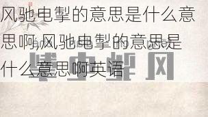 风驰电掣的意思是什么意思啊,风驰电掣的意思是什么意思啊英语