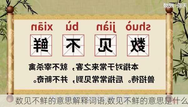 数见不鲜的意思解释词语,数见不鲜的意思是什么