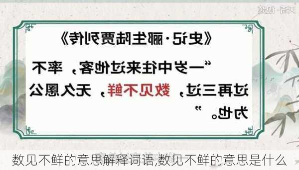 数见不鲜的意思解释词语,数见不鲜的意思是什么