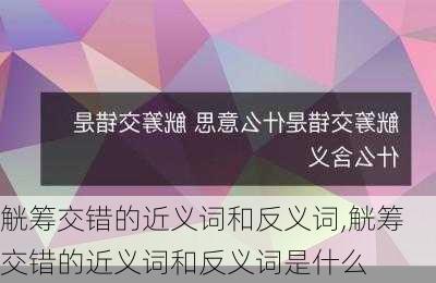 觥筹交错的近义词和反义词,觥筹交错的近义词和反义词是什么