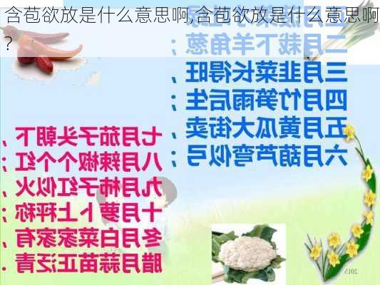 含苞欲放是什么意思啊,含苞欲放是什么意思啊?