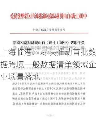 上海临港：尽快推动首批数据跨境一般数据清单领域企业场景落地