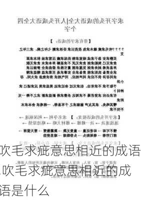 吹毛求疵意思相近的成语,吹毛求疵意思相近的成语是什么