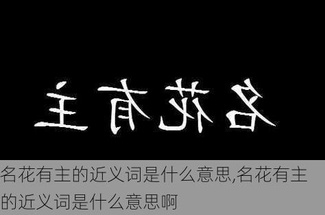 名花有主的近义词是什么意思,名花有主的近义词是什么意思啊