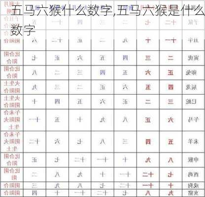 五马六猴什么数字,五马六猴是什么数字