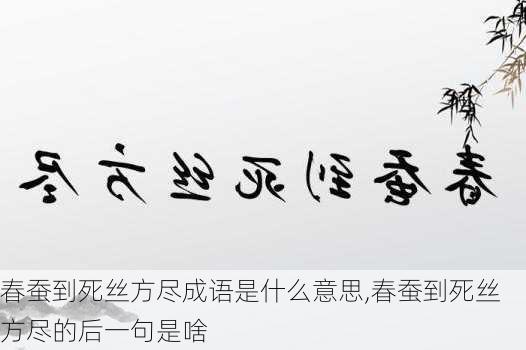 春蚕到死丝方尽成语是什么意思,春蚕到死丝方尽的后一句是啥