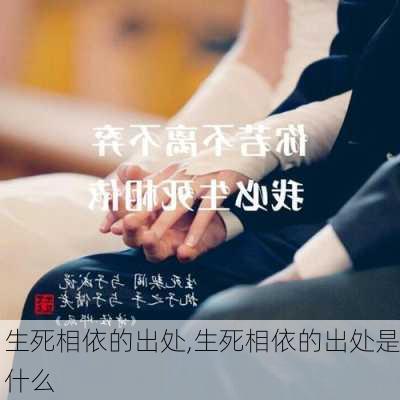 生死相依的出处,生死相依的出处是什么