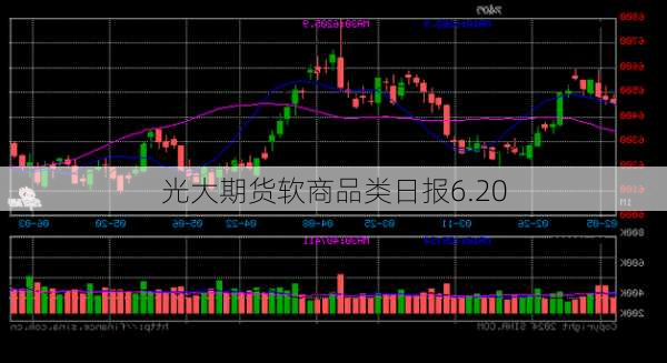 光大期货软商品类日报6.20