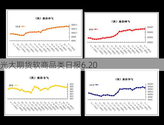 光大期货软商品类日报6.20