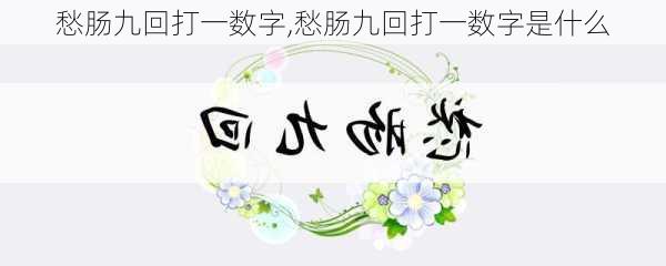 愁肠九回打一数字,愁肠九回打一数字是什么