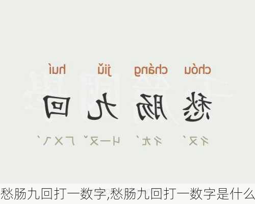 愁肠九回打一数字,愁肠九回打一数字是什么