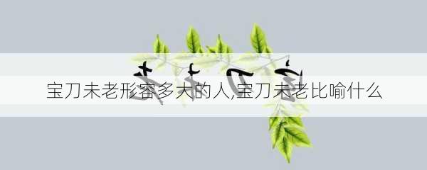 宝刀未老形容多大的人,宝刀未老比喻什么