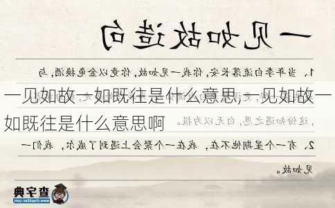 一见如故一如既往是什么意思,一见如故一如既往是什么意思啊