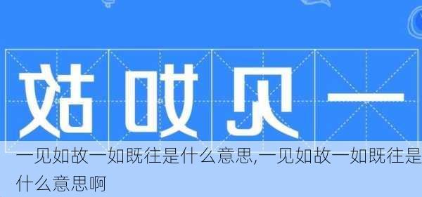 一见如故一如既往是什么意思,一见如故一如既往是什么意思啊