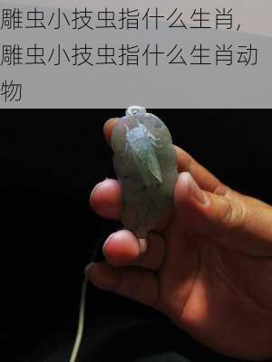 雕虫小技虫指什么生肖,雕虫小技虫指什么生肖动物