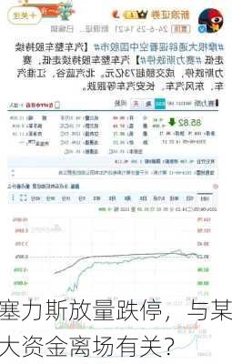 塞力斯放量跌停，与某大资金离场有关？