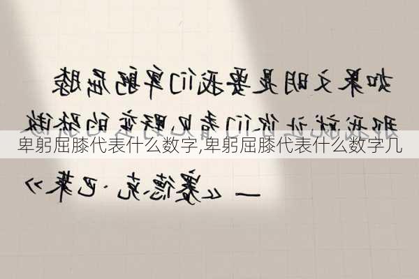 卑躬屈膝代表什么数字,卑躬屈膝代表什么数字几