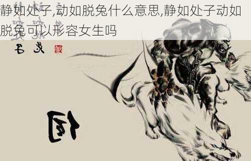 静如处子,动如脱兔什么意思,静如处子动如脱兔可以形容女生吗