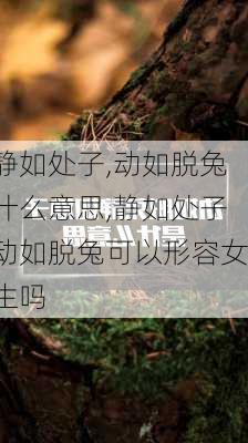 静如处子,动如脱兔什么意思,静如处子动如脱兔可以形容女生吗