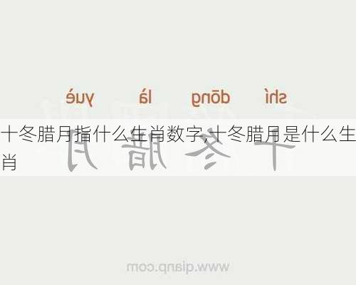 十冬腊月指什么生肖数字,十冬腊月是什么生肖