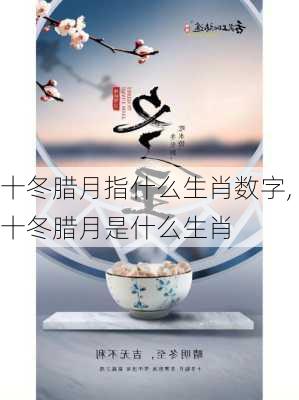 十冬腊月指什么生肖数字,十冬腊月是什么生肖