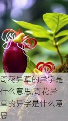 奇花异草的异字是什么意思,奇花异草的异字是什么意思