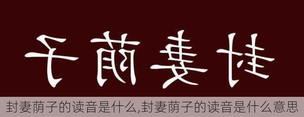 封妻荫子的读音是什么,封妻荫子的读音是什么意思