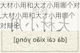 大材小用和大才小用哪个对,大材小用和大才小用哪个对辩论