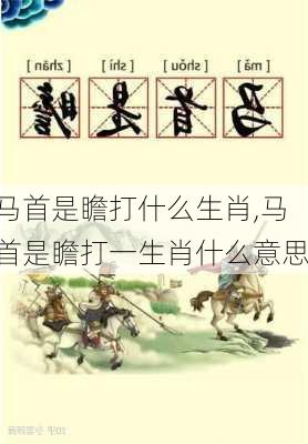 马首是瞻打什么生肖,马首是瞻打一生肖什么意思