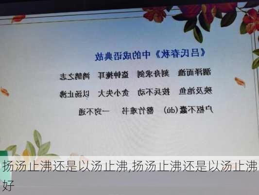 扬汤止沸还是以汤止沸,扬汤止沸还是以汤止沸好