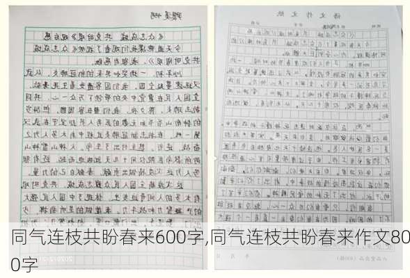 同气连枝共盼春来600字,同气连枝共盼春来作文800字