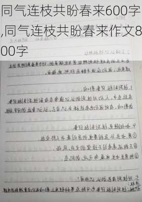 同气连枝共盼春来600字,同气连枝共盼春来作文800字