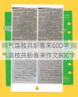 同气连枝共盼春来600字,同气连枝共盼春来作文800字