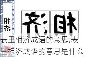 表里相济成语的意思,表里相济成语的意思是什么