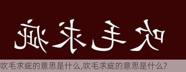 吹毛求疵的意思是什么,吹毛求疵的意思是什么?