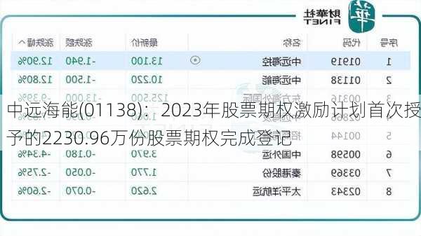 中远海能(01138)：2023年股票期权激励计划首次授予的2230.96万份股票期权完成登记