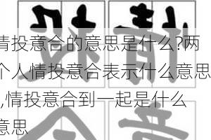 情投意合的意思是什么?两个人情投意合表示什么意思?,情投意合到一起是什么意思