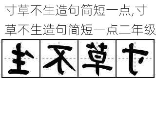 寸草不生造句简短一点,寸草不生造句简短一点二年级