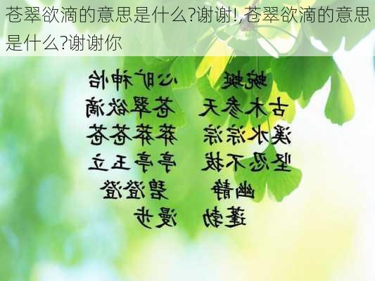 苍翠欲滴的意思是什么?谢谢!,苍翠欲滴的意思是什么?谢谢你